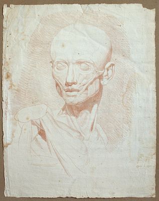 Louis Pierre Deseine (1749 - 1822) Attribuito a - Sanguigna su carta vergata con filigrana 