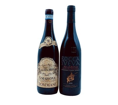 Tommasi, Amarone della Valpolicella - Cantina di Soave, Amarone della Valpolicella Rocca Sveva 