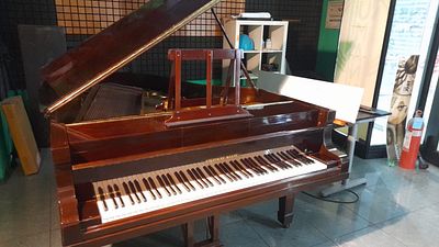 Steinway &amp; Sons Baby Grand Piano - Welte Autopiano, 1920. serial number 250524. See attached 