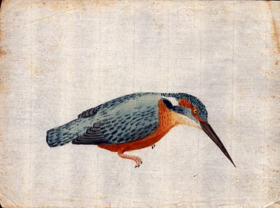 Six sheets with studies of various birds, Anonymous artist late 18th century. Watercolor on thin 