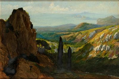 ALESSANDRO MORANI
(Roma 1859 - 1941)
, Paesaggio alberato. ALESSANDRO MORANI (Roma 1859 - 1941) 