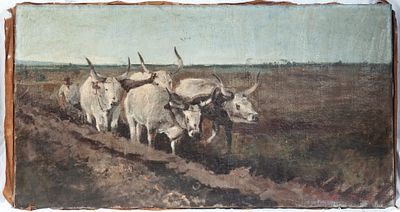 Plow with oxen, early 20th century. oil painting on canvas 70 x 130 cm signed. State of 