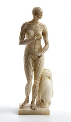 Skinned in alabaster marble, Italy, 19th century. Height x width x depth: 33 x 9.5 x 9.5 cm. 
