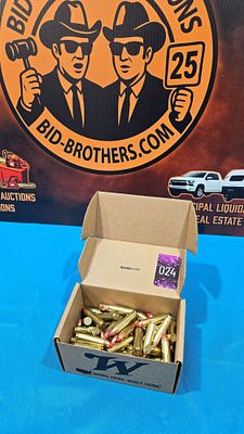 Hornady 450 Bushmaster 250 grain black (78 rounds)