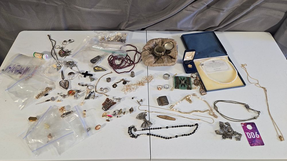 Lot 6: Large Assortment of Costume Jewelry