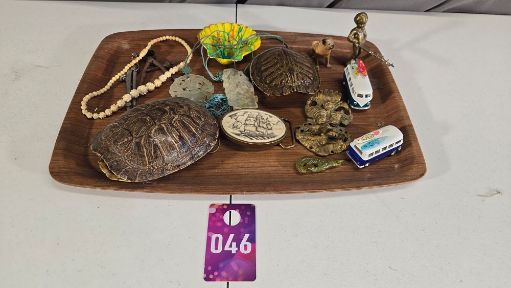 Lot 46: Lot of turtle shells, necklaces and more!