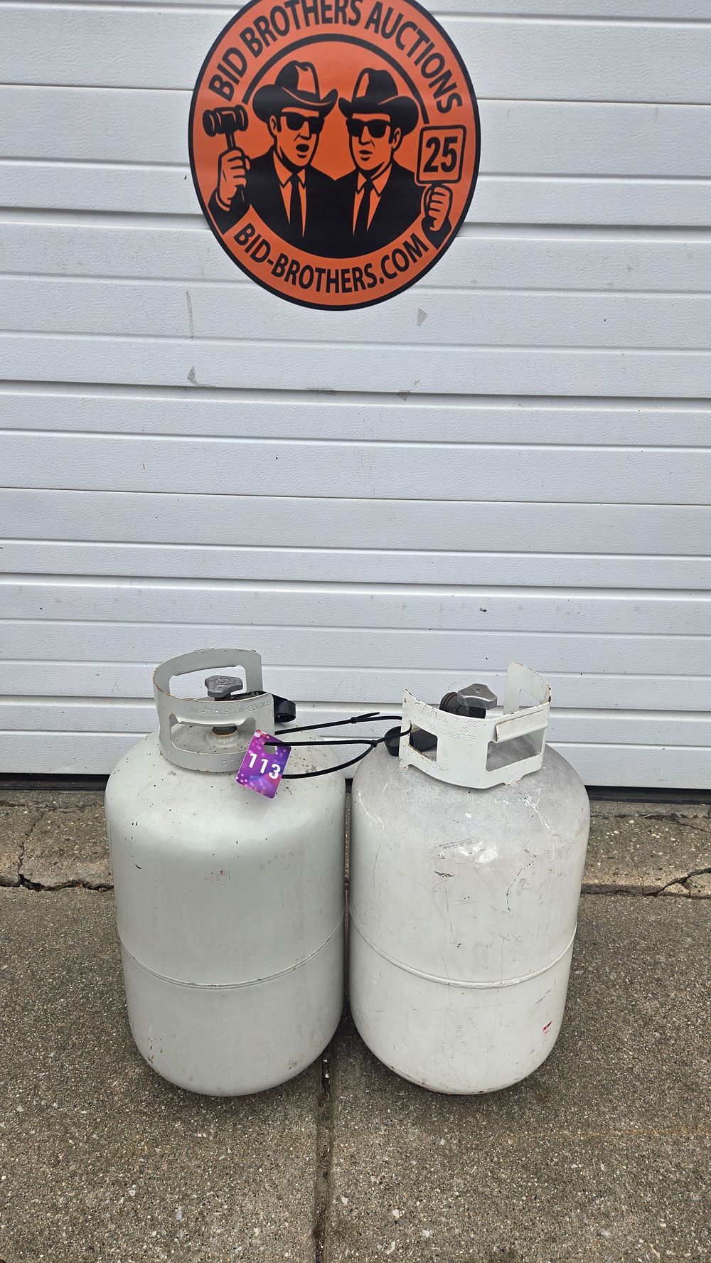 Lot 113: (2) 20lb propane tanks