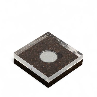 MOEDA 5 EUROS "Golfinho-comum". Moeda em prata proof, colecção espécies de animais ameaçados 