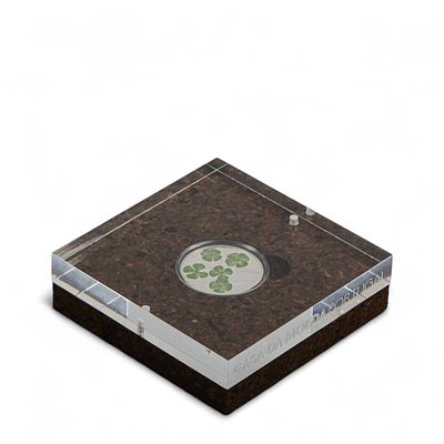 MOEDA 5 EUROS "Trevo de 4 folhas". Moeda em prata proof, colecção espécies vegetais ameaçadas 