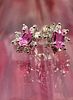 14K White Gold Pink Sapphire and Diamond Halo Earrings. Setting: 14K White Gold 
Main Image - 1