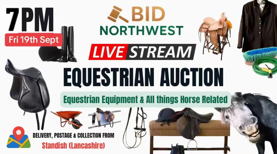 BidNorthWest.com | Auction 1 | Equestrian Equipment Online Auction