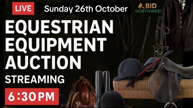 BidNorthWest.com | Auction 1 | Equestrian Equipment Online Auction
