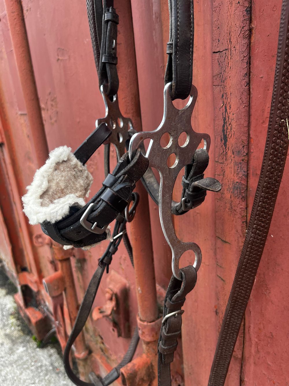Hackamore Bridle. Brown, full size, complete with reins