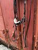 Hackamore Bridle. Brown, full size, complete with reinsImage - 3