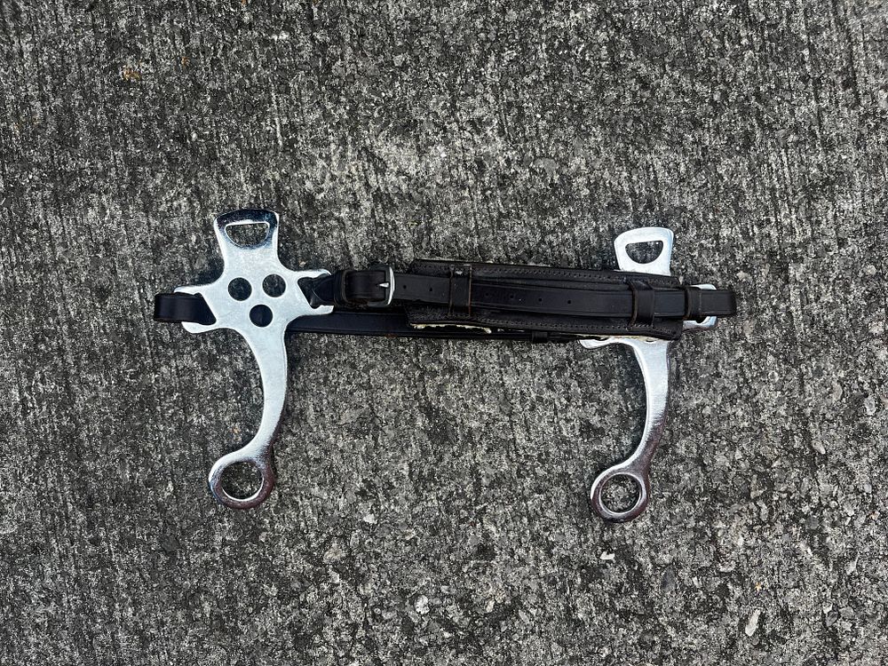Hackamore. Full size, never used.
