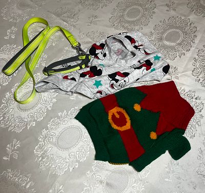 Small Dog Job lot. Includes reflective lead / matching collar, a Micky mouse T-shirt and 
