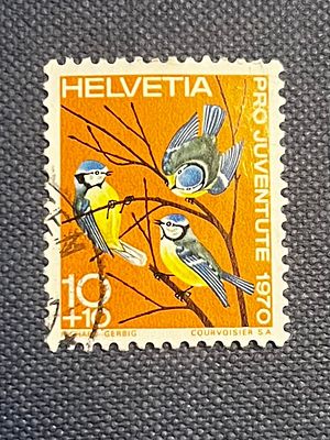 Switzerland B394 - 1970 Pro Juventute Blue Tit Postage Stamp. A Swiss postage stamp, identified 