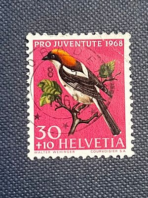 Switzerland 1968 Pro Juventute Used Stamp, Bird Motif. A Swiss 'Pro Juventute' series postage 