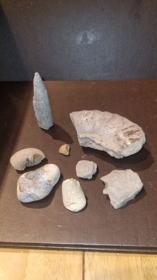 Collection of fossils. Please check pics selection of fossils in box