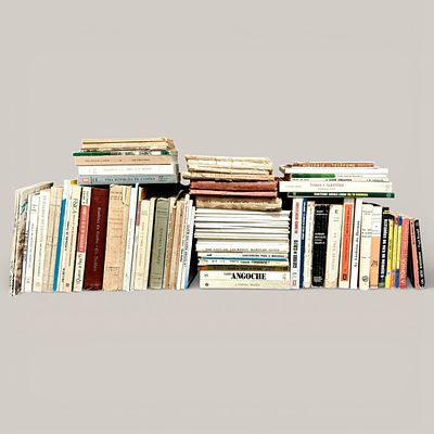 VARIOUS BOOKS. Set of approximately 60 books on various themes, in Portuguese. Notes: signs of 