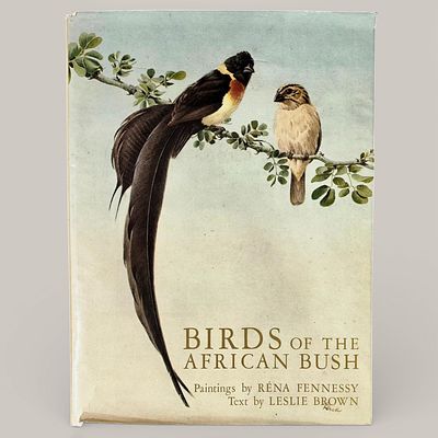 BIRDS OF THE AFRICAN BUSH. Richly illustrated book, painted by R&eacute;na Fennessy, text by Leslie 