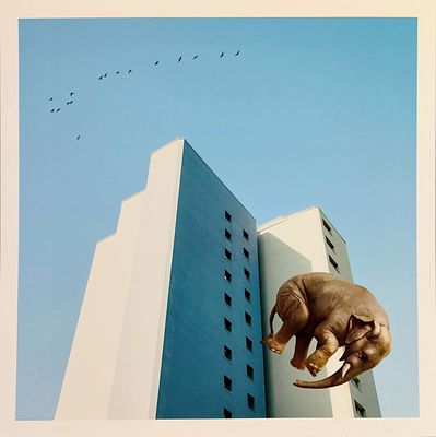 MR STRANGE. Mr Strange Gicl&eacute;e on paper. Title: Elephant Crash. 2023. Signed and numbered. N: 