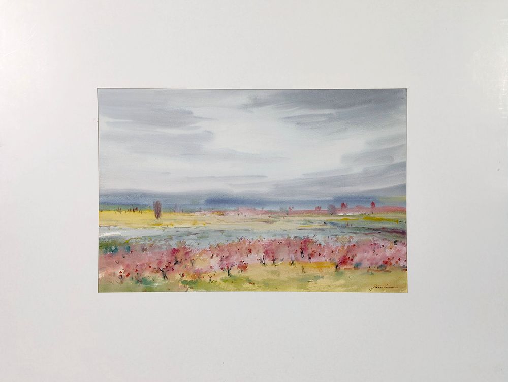 XAVIER GALIZA. Xavier Galiza Watercolor on paper. Title: Landscape, signed. Dimensions: 36x54.5cm.