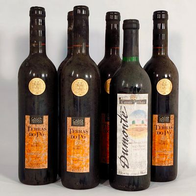 SET&Uacute;BAL AND ALENTEJO RED WINE. Bottles of red wine, Terras do P&oacute; 2001 and a bottle of Dumonte 1998.