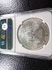 2013-S NGC MS69 SAN FRANCISCO MINT AMERICAN SILVER EAGLE DOLLAR. CLICK THE LINK FROM YOUR Image - 1