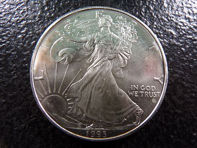 1993 AMERICAN SILVER EAGLE DOLLAR *****1 OZ. SILVER*****. CLICK THE LINK FROM YOUR INVOICE TO 