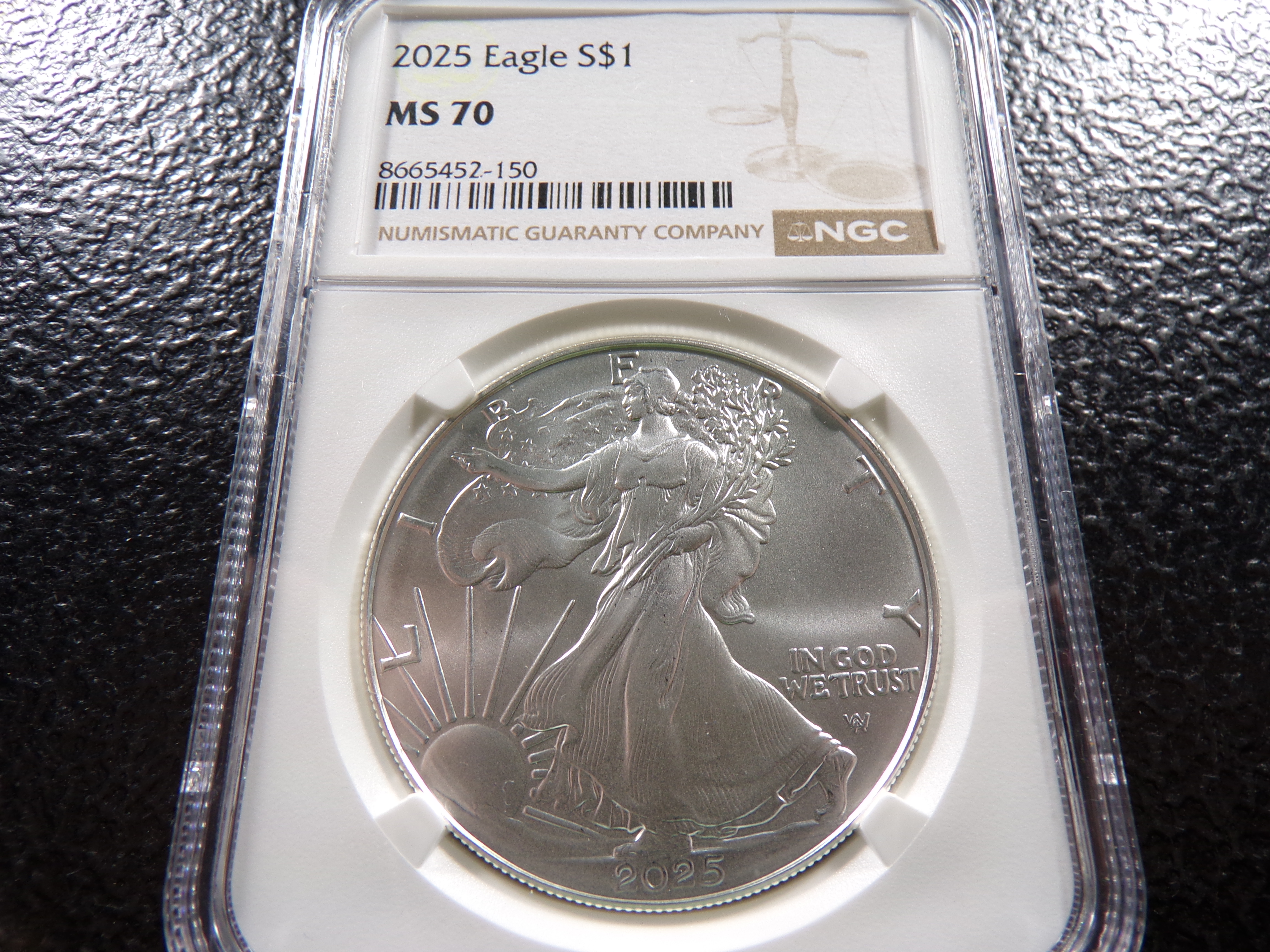 2025 NGC MS70 AMERICAN SILVER EAGLE DOLLAR