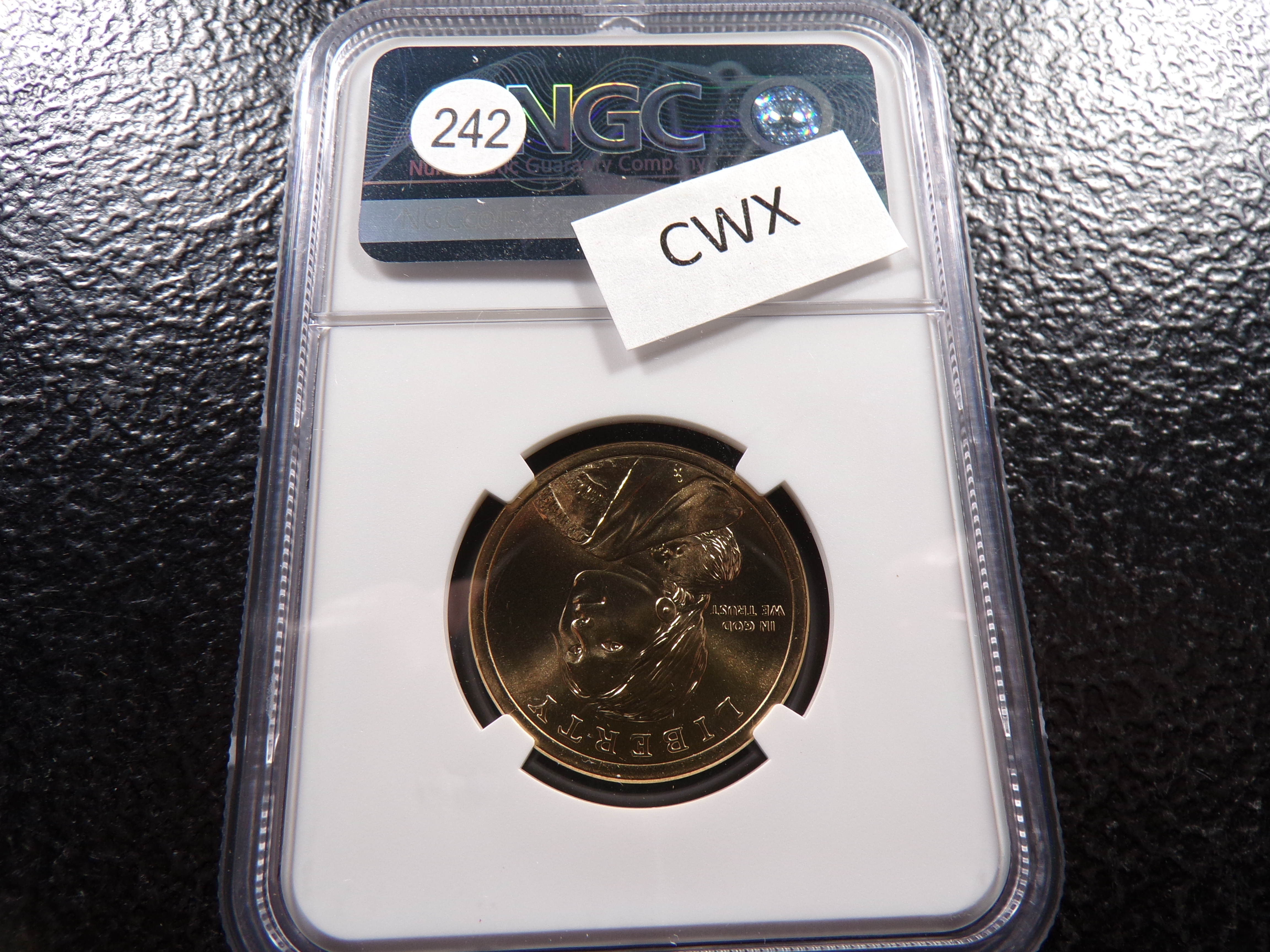 2022-D NGC MS67 ELY S PARKER SACAGAWEA DOLLAR