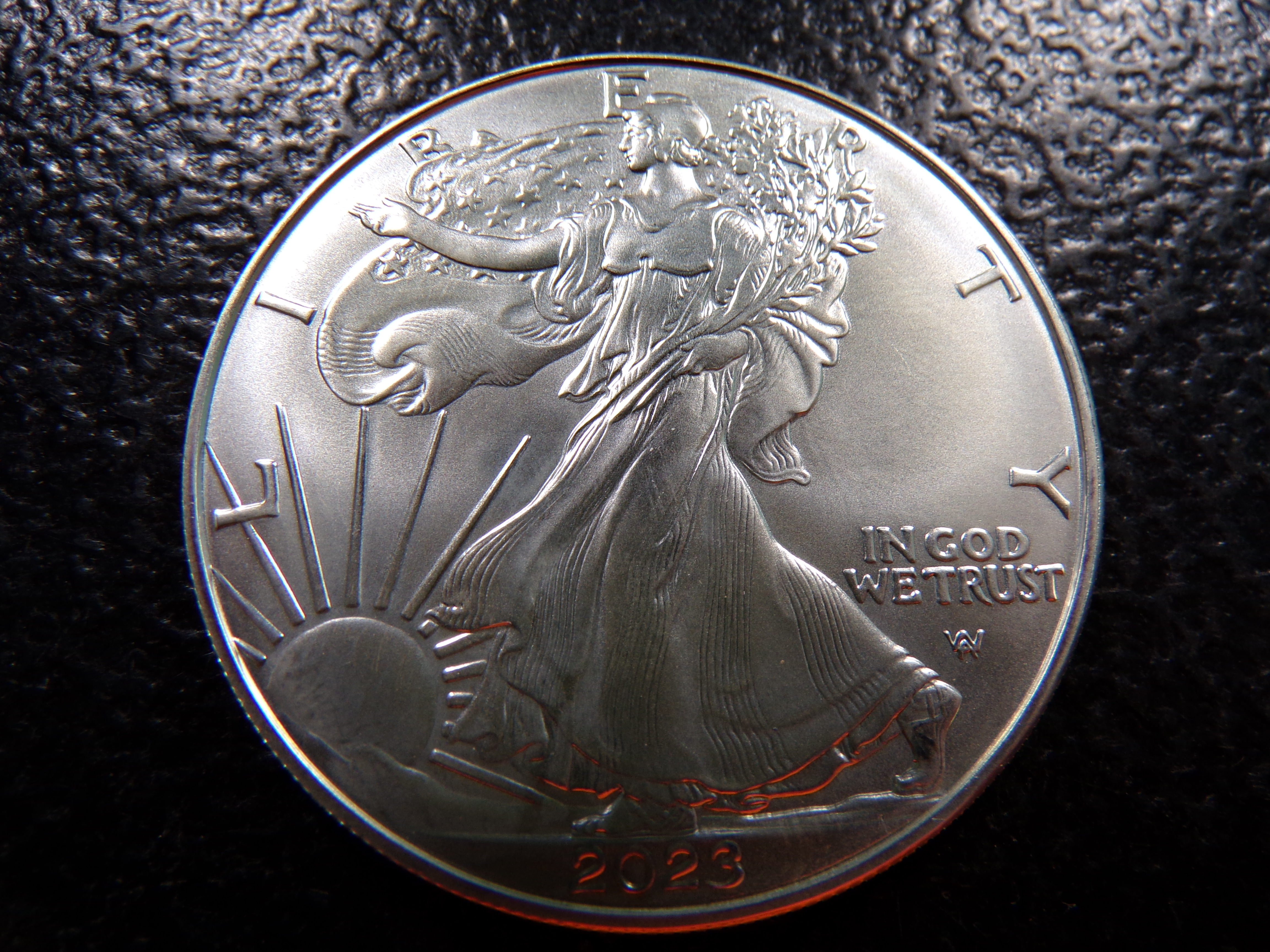 2023 AMERICAN SILVER EAGLE DOLLAR
