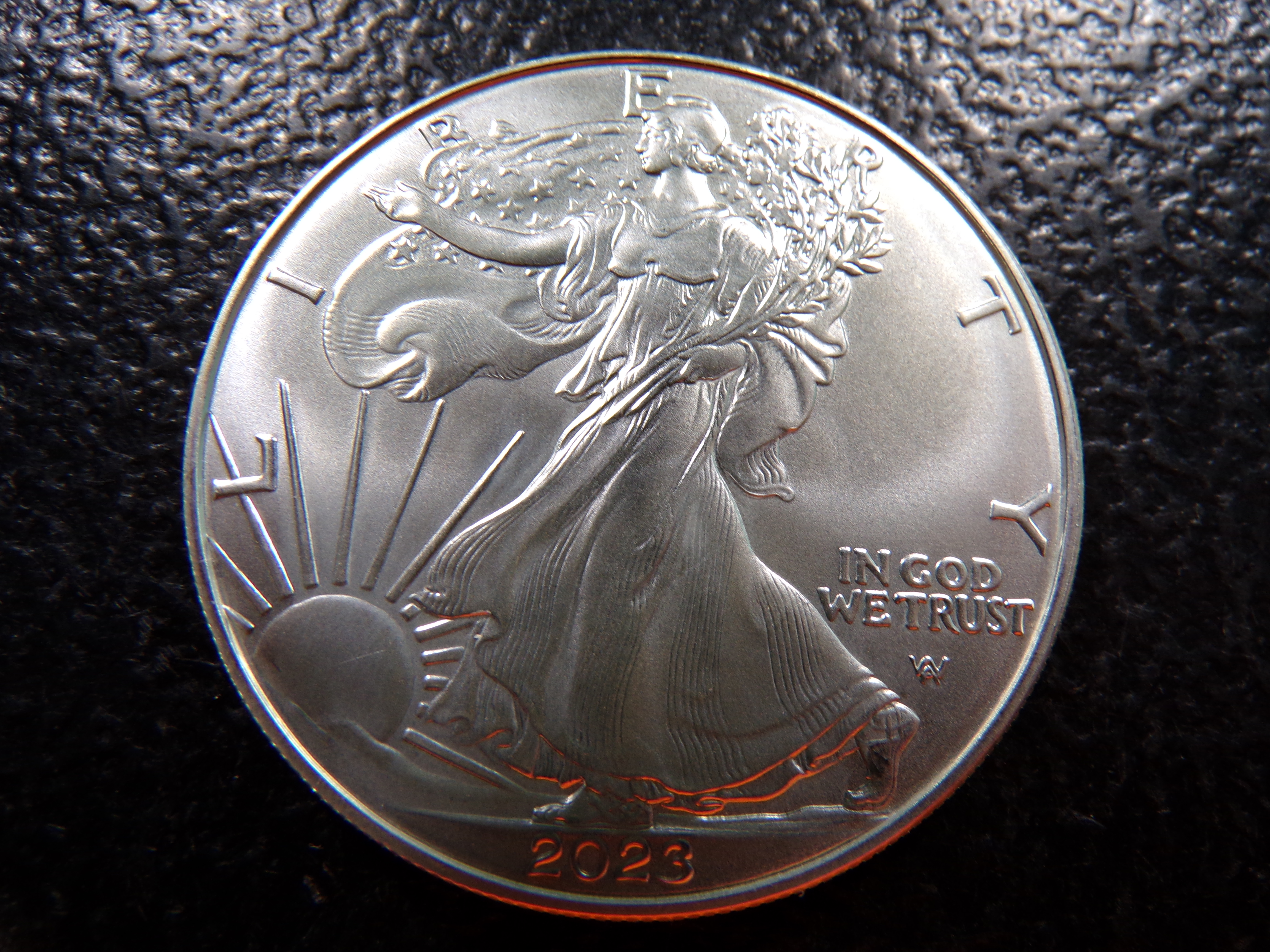 2023 AMERICAN SILVER EAGLE DOLLAR