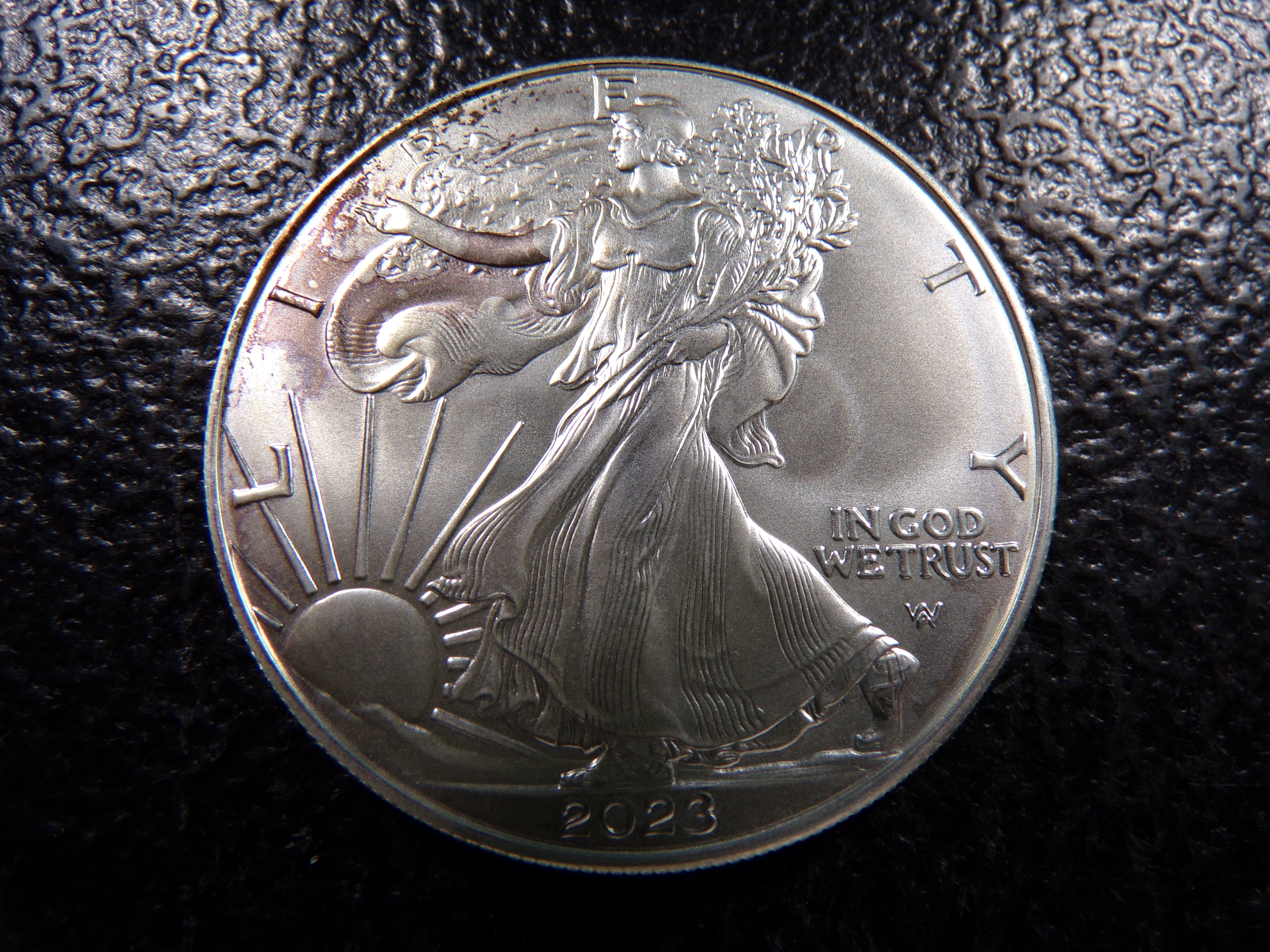 2023 AMERICAN SILVER EAGLE DOLLAR