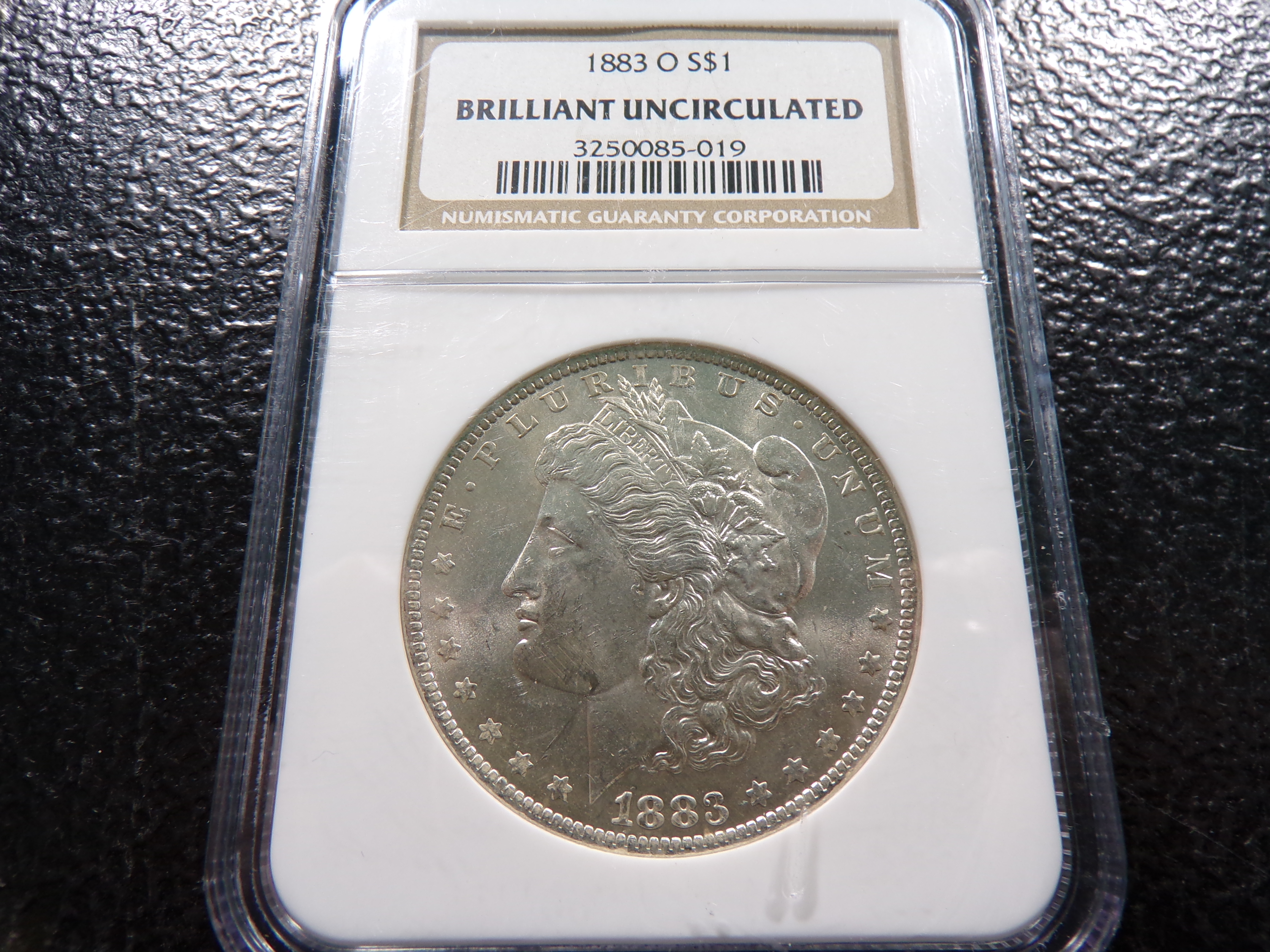 1883-O NGC BRILLIANT UNCIRCULATED MORGAN SILVER DOLLAR SMALL CHIP ON EDGE OF SLAB