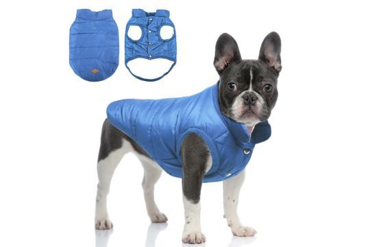 Lot 207: 10 x Winter Coats for Dogs L13c sku-3984