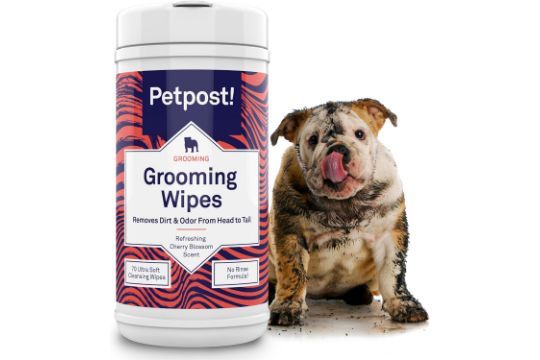 Lot 264: 4 x 70 Pack Grooming Wipes for Dogs - Large, Deodorizing Wipes with Cherry Blossom Scent L13c sku-3899