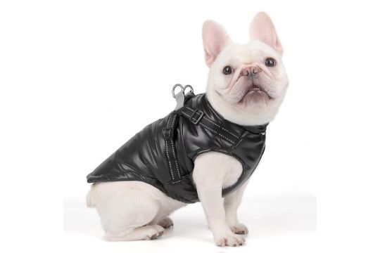 Lot 393: Dog Coat (Black) Lb21 sku-3313