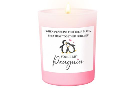 Lot 468: 5 x Penguin Anniversary Candle Gift for Couples L6b sku-3741