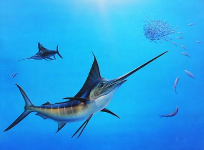 STEPHEN MULDOON, Original Marlin Painting. Stunning and large oil on aluminum painting of marlin 