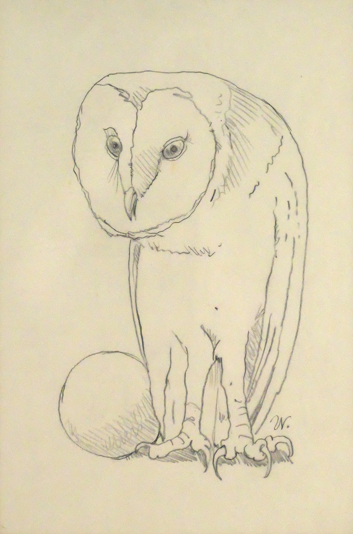 WERNER WILDNER Graphite Drawing