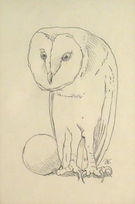 WERNER WILDNER Graphite Drawing. Pencil on paper featuring a barn owl, signed "W" for 