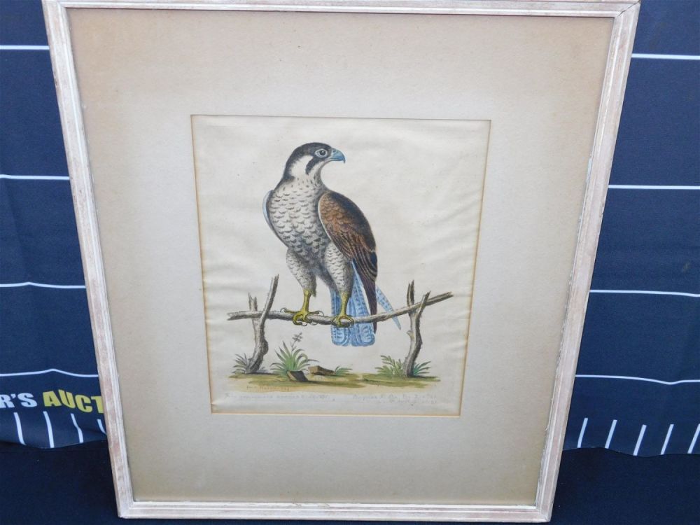 Lot 201: Framed 18th/19th Century Hand-Colored Engraving