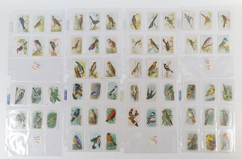 Lot 188: Arm & Hammer Tobacco Cards