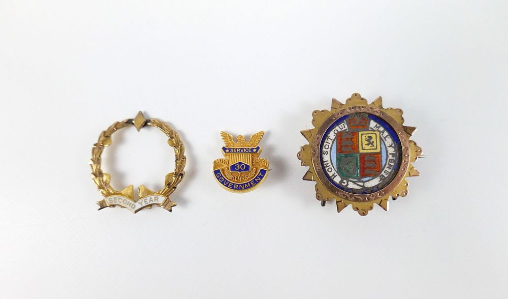 Lot 236: 19th Century Enameled and Mounted Coin Brooch