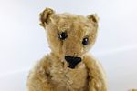 Antique Steiff Mohair Teddy Bear. Has some condition issues - missing mohair, string coming Image - 5