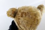 Antique Steiff Mohair Teddy Bear. Has some condition issues - missing mohair, string coming Image - 9