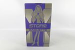 Lot of 2 Marvel Hard Hero X-Men Evolution Maquette Statues. Including Storm and Captain Image - 9