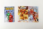 Lot of Various Flash Trade Paperbacks and Hardcover Book. Including Hardcover: The Flash: The Image - 3